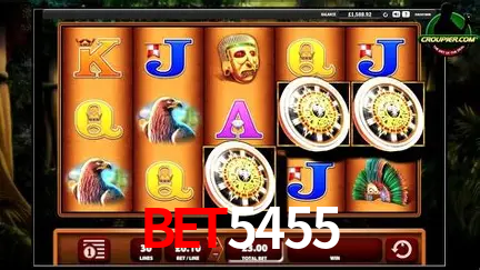 Descubra o Mundo do Cassino Online com bet5455